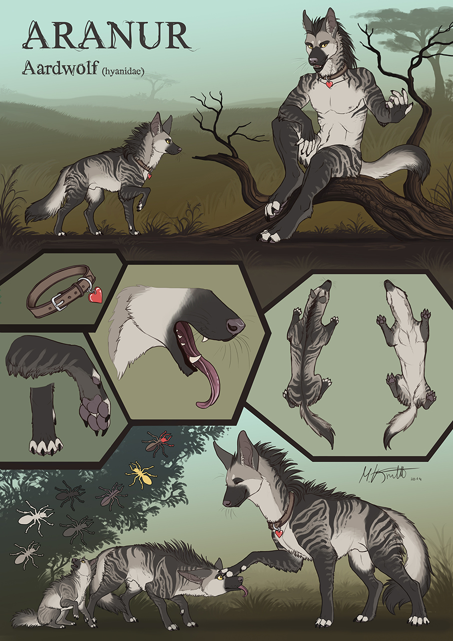 Aard Character Sheet